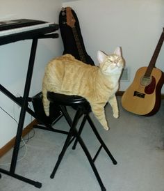 an orange tabby cat sitting on top of a black chair next to a guitar