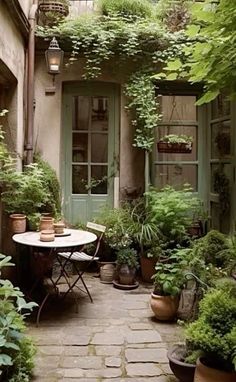 an outdoor patio with potted plants and tables