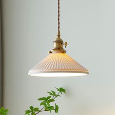 a light hanging from a ceiling next to a potted plant on top of a table