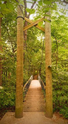 a wooden bridge in the middle of a forest