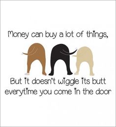 two elephants with the words, money can buy a lot of things but it doesn't