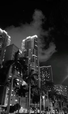 black and white photo of city at night with palm trees in foreground, lights on buildings