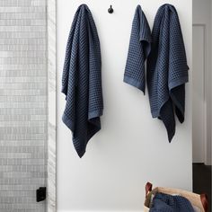 two blue towels are hanging on the wall