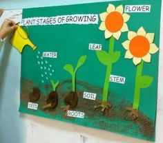 a child is working on an art project with flowers and plants in the soil,