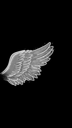 an angel wing on a black background