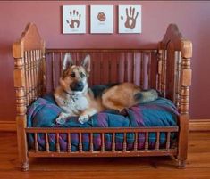 a dog laying on top of a bed in a room