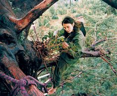 a woman sitting on top of a tree branch next to a pile of branches and twigs