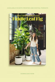 a woman standing next to a potted plant in front of a window with the title fiddle leaf fig