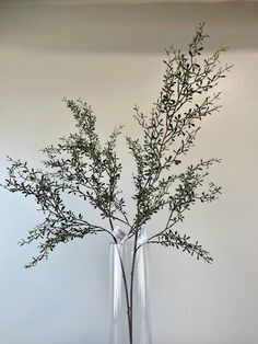 there is a vase with some branches in it