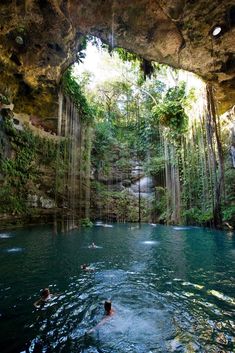 people swimming in a pool surrounded by trees and hanging from the ceiling overhangs