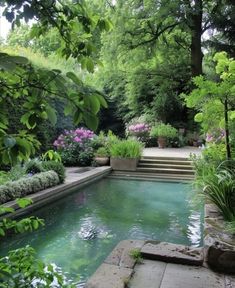 an outdoor swimming pool surrounded by trees and plants