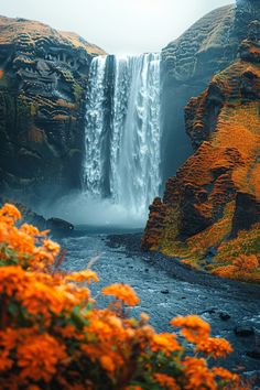 an image of a waterfall that is in the middle of some land with flowers growing out of it