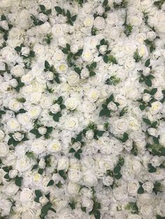 white flowers are arranged in the shape of a circle