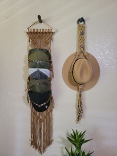 two hats hanging on the wall next to a potted plant and a hat rack