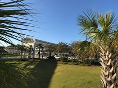 palm trees are in front of a building