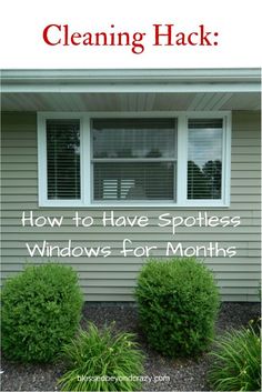 the cover of cleaning hack how to have spotless windows for months, with an image of two bushes in front of a house