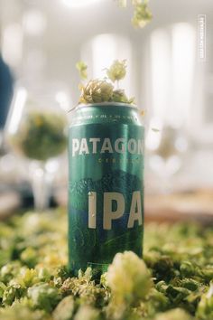 a can of beer sitting on top of a pile of green leaves and flowers in the air