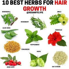 Herbs for Hair Growth👇🔥���💚 . Tag someone who needs to see this🙏 . What is your favorite hair growth herb on the list? Comment below? . There… | Instagram Herbs That Help Hair Growth, Herb For Hair Growth, Herbs Good For Hair Growth, Indian Herbs For Hair Growth, Scalp Care For Hair Growth, Teas For Hair Growth, Herbs Hair Growth, Hair Growth Herbs, Hair Herbs