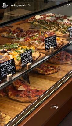 a display case filled with lots of different types of pizza