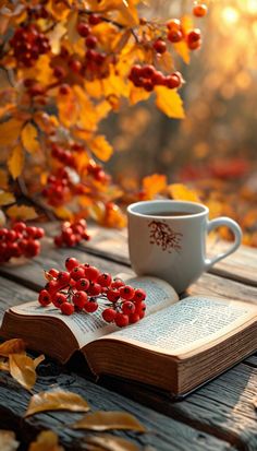 a cup of coffee sitting on top of an open book next to a branch with red berries