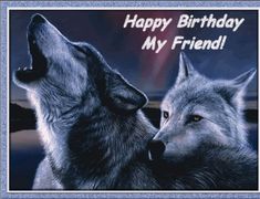 two wolfs are looking at each other with the caption happy birthday my friend