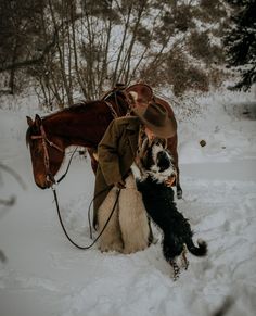 a person with a horse and dog in the snow