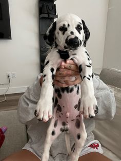 a man holding a dalmatian puppy in his arms