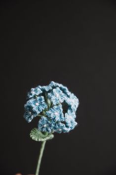 a hand holding a small blue flower in it's left hand, against a black background