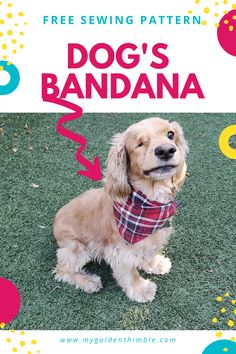 a dog wearing a bandana sitting in the grass with text overlay reading free sewing pattern dog's bandana