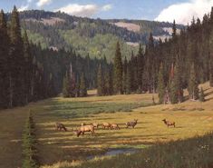 a painting of elk grazing in a meadow with mountains in the background and trees on either side