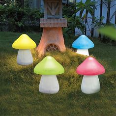 colorful mushrooms light up the lawn in front of a birdhouse and tree stumps