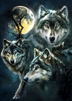 three wolfs in front of a full moon