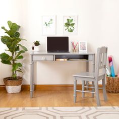 a desk with a computer on it next to a potted plant and a chair