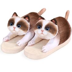 two stuffed cats sitting on top of slippers with one cat's eyes wide open