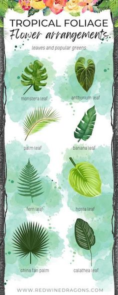 the tropical foliage and flowers are shown in this poster, which includes different types of leaves