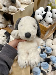 a person holding a stuffed dog in front of many other stuffed animals on shelves with them