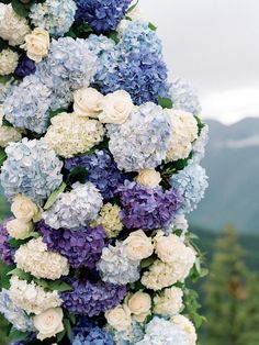 blue and white flowers are hanging from a pole