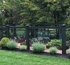 a fenced in garden area with various plants