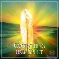 an image of a feather with the words everything has spirit written on it, in front of