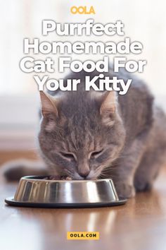 a cat eating out of a bowl on top of a wooden table with the words, purest homemade cat food for your kitty