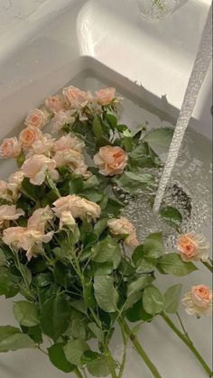 the flowers are being washed in the sink