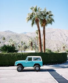 a blue jeep is parked in front of some palm trees and bushes with mountains in the background