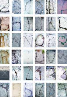 many different types of cracks in the ground