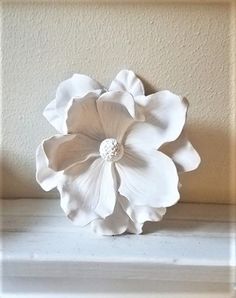 a white flower sitting on top of a window sill