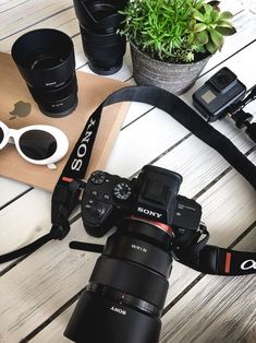 a camera and some other items on a wooden table with a potted plant in the background