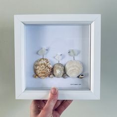 a hand holding a white frame with three seashells in it