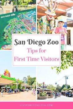 san diego zoo tips for first time visitors