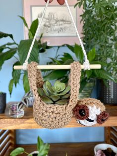 a stuffed sloth hanging from a rope with succulents in the background