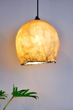 a lamp hanging from the ceiling next to a plant