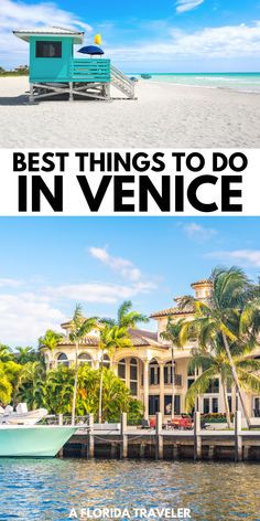 the best things to do in venice, florida